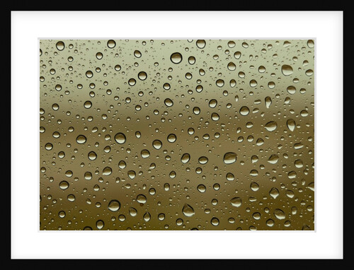Water droplets on glass by Assaf Frank